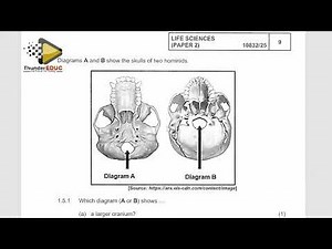 MEMO LIFE SCIENCES PAPER 2 GRADE 12 GAUTENG 2025 [THUNDEREDUC] GRADE 12 LIFE SCIENCES MEMO P.2