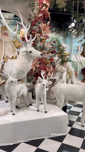 Christmas at Mark Roberts 🎄 #christmas #markroberts #decor #classic #christmasaesthetic Thank you Mark Robert’s for letting us visit & film 🎞️ Evolve For The Home Thank you for having us along 🎄 | The Christmas Faire