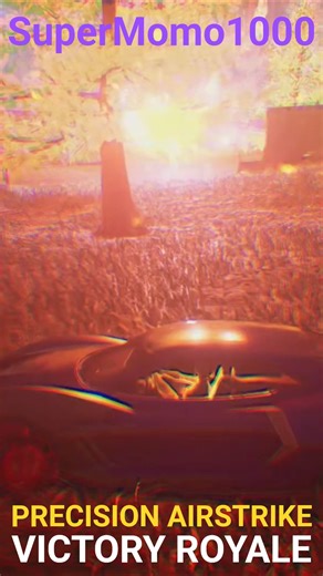 Precision Airstrike Victory Royale