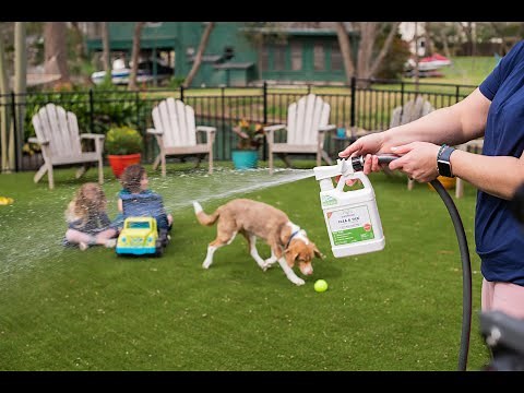 Wondercide Yard Flea, Tick, and Mosquito Spray – Fast, Easy, and Powerful – Pet-Safe and Kid-Safe
