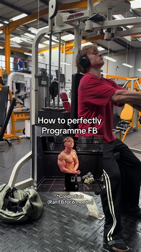 Full Body Programming Guide for Optimal Hypertrophy