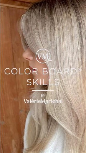 BM COLOR BOARD®️ SKILLS Vol 4: Airtouch balayage