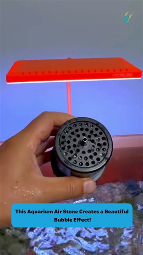 This Aquarium Air Stone Creates a Beautiful Bubble Effect! #tools #fishtank