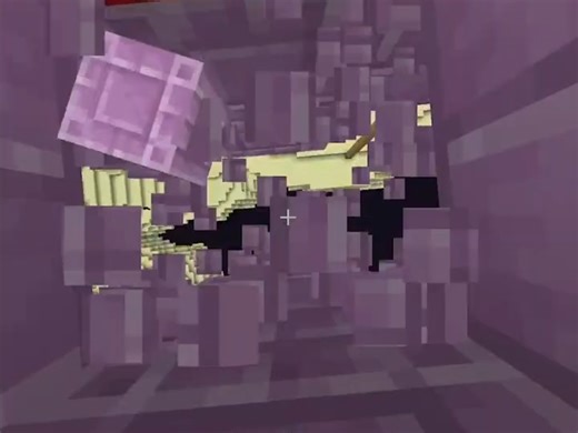 [MC/转载]bro认为我寄了...