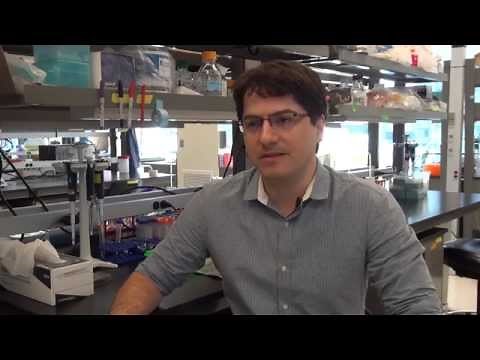 Colorectal cancer stem cell discovery: Dr. Daniel De Carvalho on his research