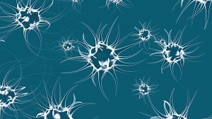 Week in Microsoft: MSE debuts, Windows 7 OEM prices revealed