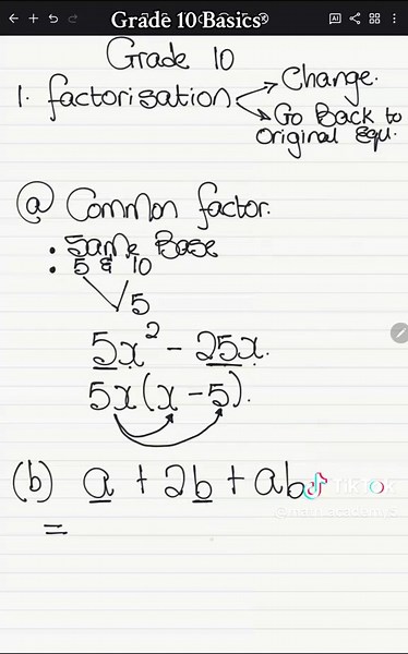 Grade 10 Mathematics: Understanding Factorization Concepts