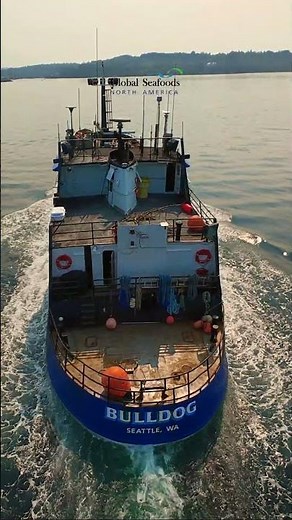 Fleet homecoming: Bulldog returns from Alaska | Puget Sound | DJI Avata