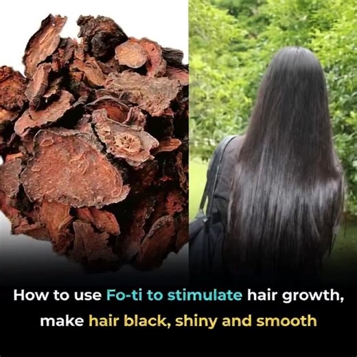 How to use Fo-ti to stimulate hair growth, make hair black, shiny and smooth | Feedy DIY