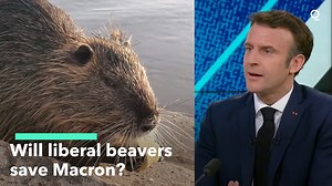 🦫What do beavers have to do with the French election? Here's how they could save Macron on Sunday's vote. https://trib.al/tb42GGl | Bloomberg Originals