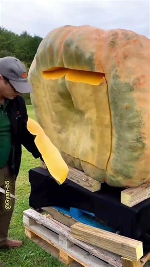 "Exotic Chinese Fruits 🍒You’ve Never Seen Before!"