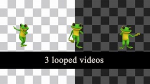 Dancing Frog Pack Looped