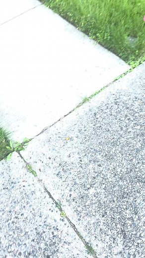 Robyn Moore (@robyn.moore8)’s videos with original sound - Robyn Moore