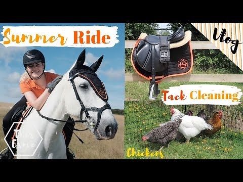 Vlog | Summer Ride, Tack cleaning, New Room + Chickens | This Esme