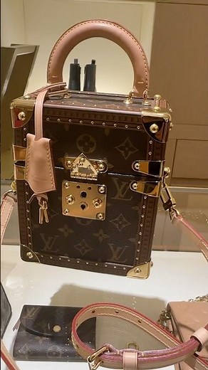 “Louis Vuitton” Camera Box • Vancouver LV store • Feb 2024 • approx $12,500