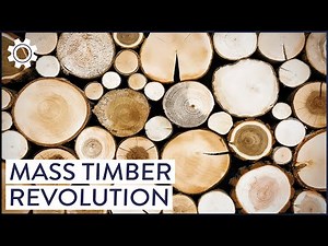 The Mass Timber Revolution: Why We Are Building Our Cities Out Of Wood