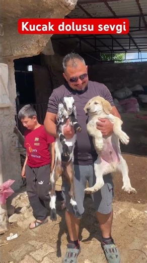 Kucak dolusu sevgi #yavruhayvanlar #dog #kangal
