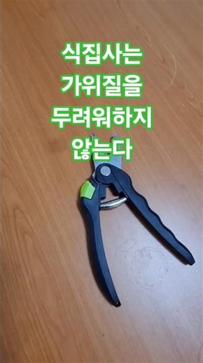 녹보수 가지치기 이렇게 하세요. 풀 영상은 제 채널에서 확인하세요. #식집사 #plants #plantcare #화초관리 #에픽플랜츠 #녹보수 #chinadollplant