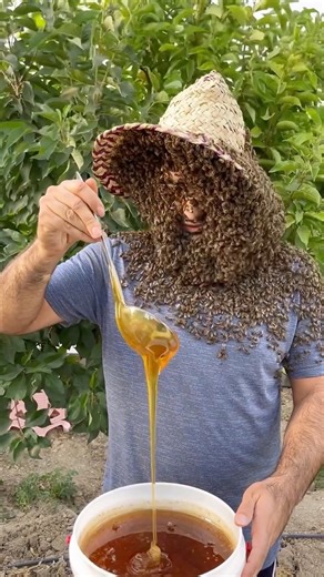 Beekeeping with Wax Foundations