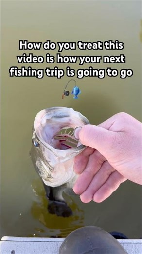 How was your next fishing trip going to go?￼