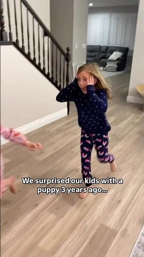 Kids Reaction to a Surprise Puppy🥹🐶❤️ #puppy #emotional #goldendoodle