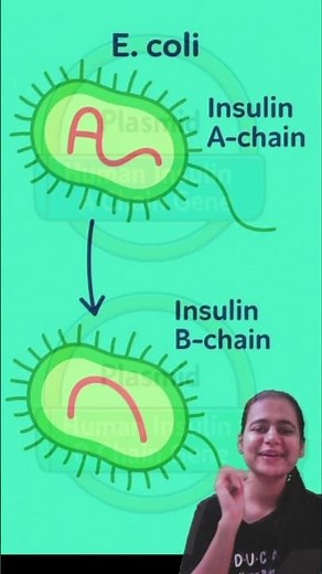Insulin - Geneticlly engineered or Recombinant