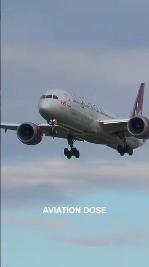 ✈️ Boeing 787 Gear Down Ready For Touchdown ✈️ #aviation #landing
