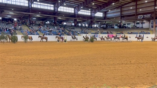 5.8K views · 51 reactions | 2024 Grand Entry Enjoy some of Gods most beautiful creations, the color of these horses are amazing. | Great American Ranch and Trail Horse Sale | Facebook