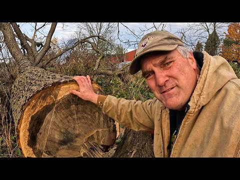 So Many Special Things in One Video