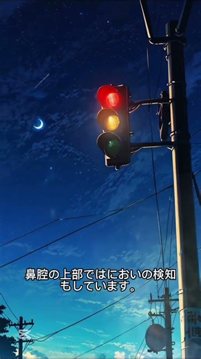 23日目 鼻の仕組みって!?