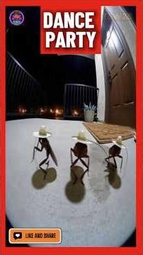 Cockroaches Enjoy Italian Dance in Front of Burj Khalifa #funny #cockroach #animal #shortvideo #cctv