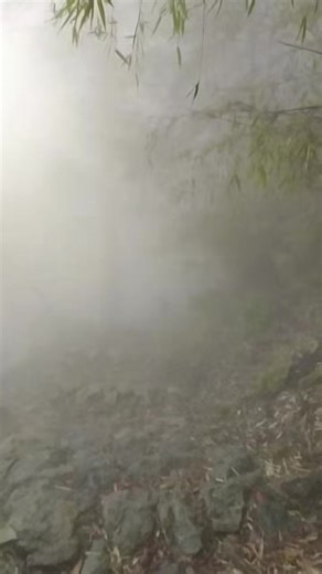 Walking dead through fog, Cold feeling on the hike, But with strong determination. #memories #gosaikunda #hike #chicken #fog Unforgettable path on hike.