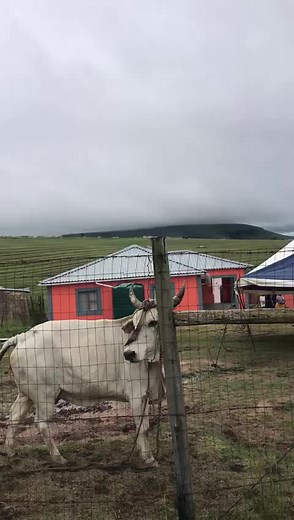Exploring Amahlubi Culture in Mount Frere and Mount Ayliff