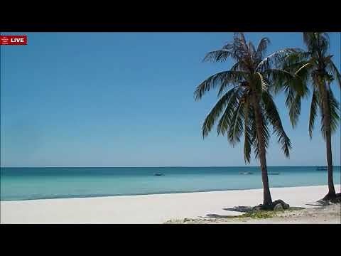 Boracay Beach, Philippines Zoom Background - Coconut Trees (Part 3)