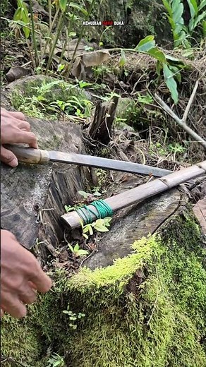 Magic moss becomes a hiding place for the magical keris