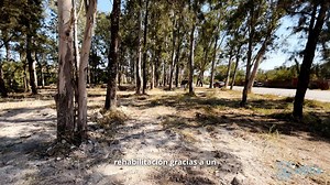 16K views · 423 reactions |  Arranca la obra de rehabilitación del...