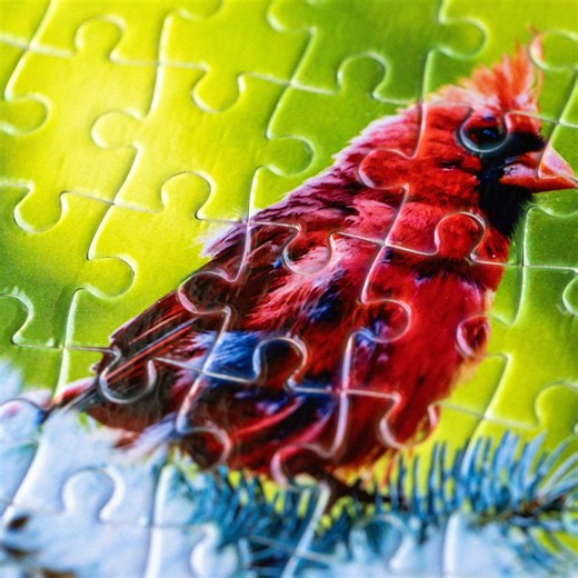 Cardinal Jewel 120 Piece Puzzle Canadian Made Nature Photography Gift