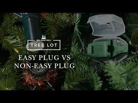 Easy Plug vs. Non-Easy Plug Artificial Christmas Tree | Balsam Hill® Tree Lot