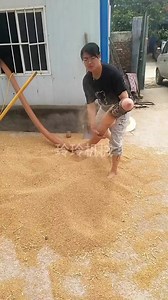 16M views · 25K reactions | Spring screw conveyer machine ☎️+91 91111 56620 | Punjab Engineering Corporation | Facebook