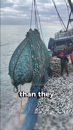 China’s Silent Invasion of Argentina’s Waters – Shocking Reality!