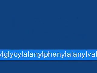 Top 10 Longest Words in the English Language