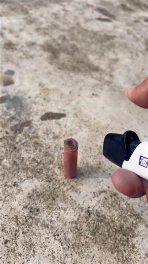 firecracker red cockroach.#experiment