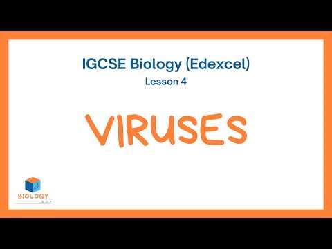 Viruses (International GCSE Biology (Edexcel) Lesson 4)