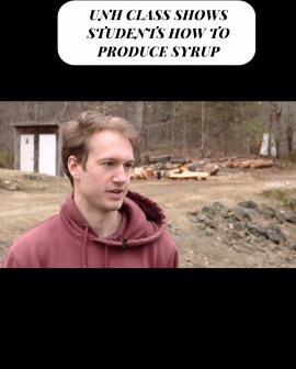 UNH class shows students how to produce maple syrup
