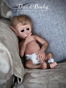 Lifelike Silicone Macaque Monkey Baby Doll: Hand-rooted Hair, 14" -available - Etsy