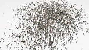 1.2K views · 60 reactions | south sudan map. Group of people walk and create a map of south sudan. | Visit South Sudan | Facebook