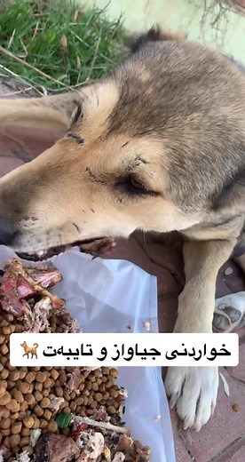 ‏lasbap lagalm bn tkaya♥️(hamausif554)