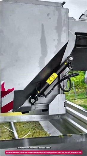 Automatic Grape Harvester Machine – Advanced Vineyard Harvesting Technology with 10 Tons/hour