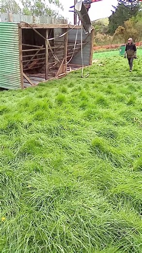 Upside down | Happy Kluckers