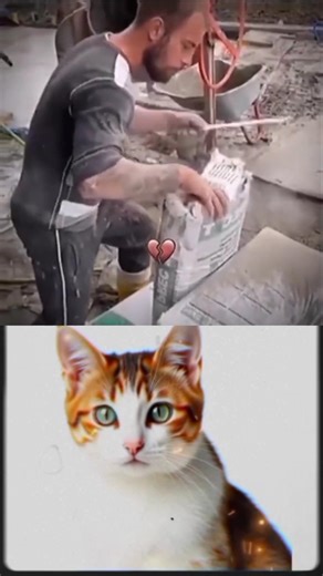 Cat Shorts Funny 😂😂😂#viral #Video #Funkis #fails #memes #short